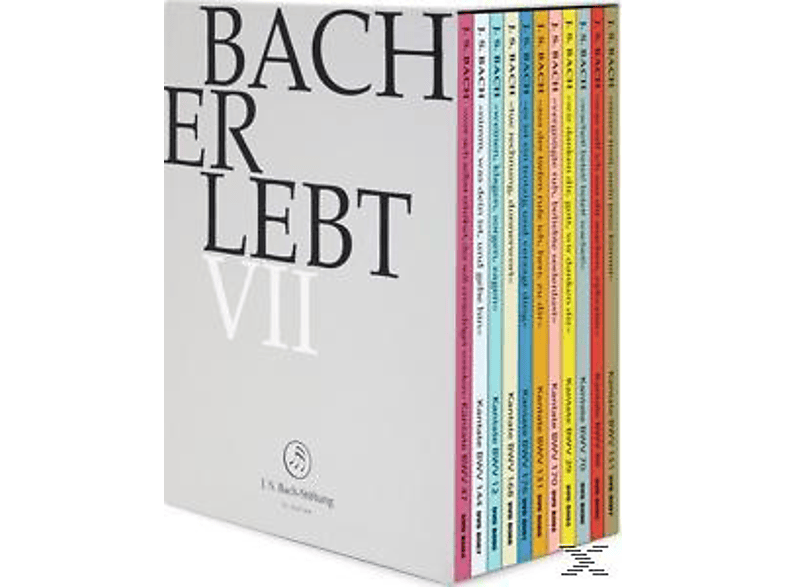 Rudolf Lutz / J.S. Bach-Stiftung - Bach Erlebt Vii (DVD) von J.S. BACH-