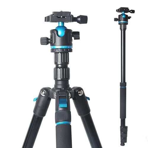 JAFUQAW Kamerastativ, 174 cm, leichtes Reisestativ und Einbeinstativ mit 360°-Kugelkopf, Nutzlast 15 kg, verstellbare Höhe von 43,2 cm bis 172,7 cm, professionelles Stativ für DSLR-Kamera-Aufnahmen JAFUQAW Kamerastativ, 174 cm, leichtes Reisestativ und Einbeinstativ mit 360°-Kugelkopf, Nutzlast 15 kg, verstellbare Höhe von 43,2 cm bis 172,7 cm, professionelles Stativ für DSLR-Kamera-Aufnahmen von JAFUQAW
