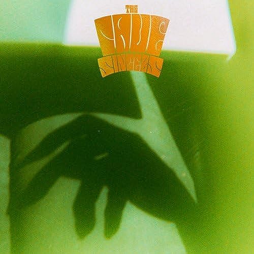 Banshee [Vinyl LP] von JAGJAGUWAR