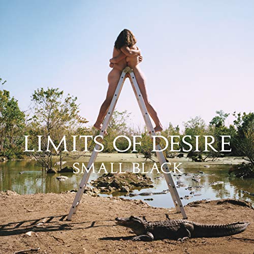 Limits of Desire [Vinyl LP] von JAGJAGUWAR