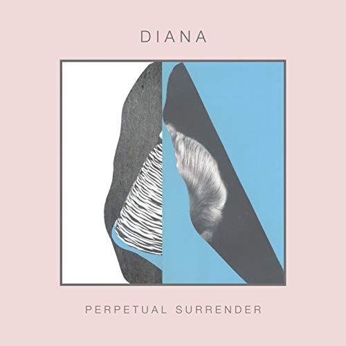 Perpetual Surrender [Vinyl LP] von JAGJAGUWAR