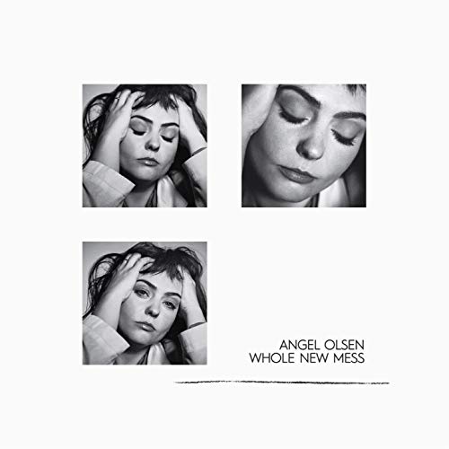 Whole New Mess (Ltd. Clear Smoke Translucent Vinyl [Vinyl LP] von JAGJAGUWAR