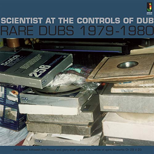 At the Controls of Dub-Rare Dubs 1979-1980 [Vinyl LP] von JAMAICAN REC.