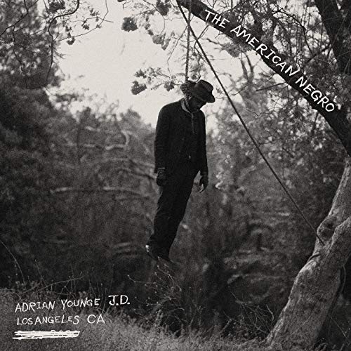 The American Negro [Vinyl LP] von Jazz is Dead