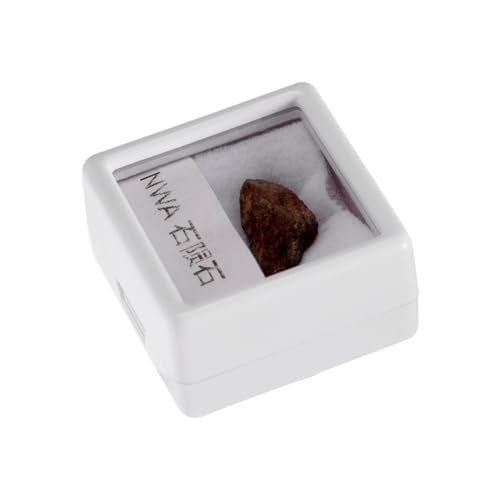 JEWEDECO Meteoritenexemplar Unterricht Im Klassenzimmer Meteorit Meteoritenschmuck Meteoritenprobe Meteoriten-ornament Olivenmeteorit Paläontologische Verzierung Meteoriten-exemplar Stein JEWEDECO Meteoritenexemplar Unterricht Im Klassenzimmer Meteorit Meteoritenschmuck Meteoritenprobe Meteoriten-ornament Olivenmeteorit Paläontologische Verzierung Meteoriten-exemplar Stein von JEWEDECO