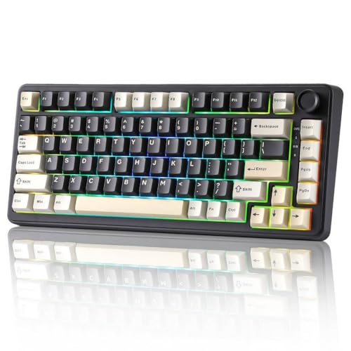 JGHFReW B75 Hot-Swap-fähige mechanische RGB-Tastatur in dunkelgrauem 75-Prozent-Layout mit Knopfdichtung, geeignet Kompatibel mit Windows und(Black) von JGHFReW