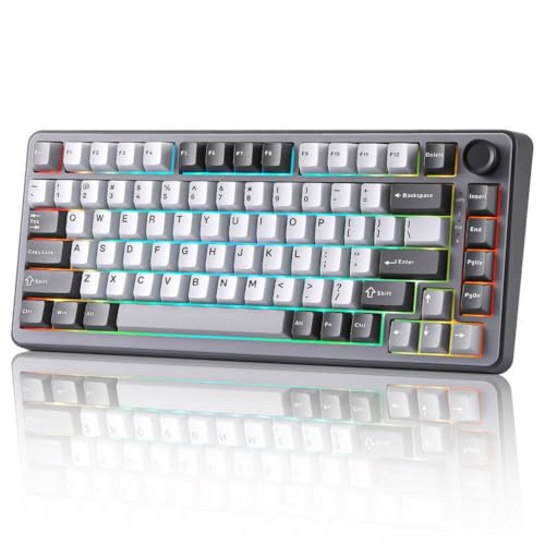 B75 Hot-Swap-fähige mechanische RGB-Tastatur in dunkelgrauem 75-Prozent-Layout mit Knopfdichtung, geeignet Kompatibel mit Windows und(Dark Gray) von JGHFReW