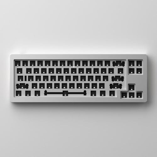 JGHFReW DIY-Dichtungsmontage, 65% Hot-Swap-fähiges RGB-Barebone-Mechanisches-Tastatur-Kit mit CNC-Aluminiumrahmen, kompatibel mit VIA(Silver) von JGHFReW