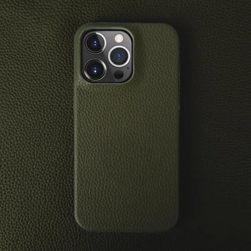 JIASHM Für iPhone 13 Pro Max Hülle Luxus Lederhülle Handyhülle Rückseite (Für iPhone 13 Pro Max/Grün) von JIASHM