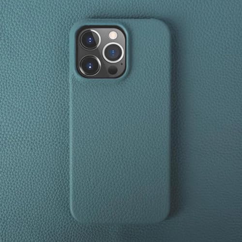 JIASHM Für iPhone 15 Pro Max Hülle Luxus Lederhülle Handyhülle Rückseite (Für iPhone 15 Pro Max/Blau) von JIASHM