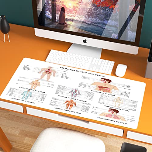 XXL Speed Gaming Mauspad 800 x 400mm,Anatomie des Menschen, Vollständiges Diagramm der verschiedenen Organkörperstru,XXL Mousepad - Tischunterlage Large Size - verbessert Präzision und Geschwindigkeit von JIFOME