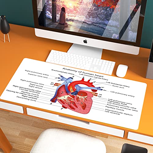 XXL Speed Gaming Mauspad 800 x 400mm,Pädagogische, Medizinische Struktur der Herzen Anatomie des menschlichen Körper,XXL Mousepad - Tischunterlage Large Size - verbessert Präzision und Geschwindigkeit von JIFOME
