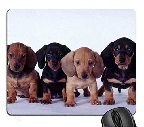JIMOWANG Dachshund Puppies Gaming Mouse Pad Smooth Surface Mousepad Rubber Mouse Pads 9.5 X 7.9 Inch JIMOWANG Dachshund Puppies Gaming Mouse Pad Smooth Surface Mousepad Rubber Mouse Pads 9.5 X 7.9 Inch von JIMOWANG