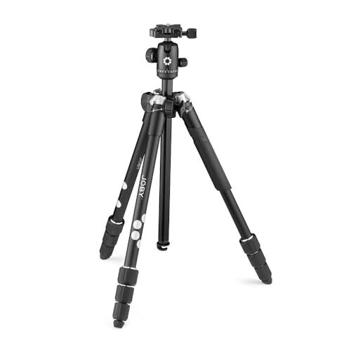 JOBY RangePod, Aluminium Traveller Kamera/Smartphone Stativ mit Kugelkopf, Universal Smartphone Klemme und Tragetasche, für CSC, DSLR, spiegellos, Handys, Schwarz für Foto, Video, Vlogging JOBY RangePod, Aluminium Traveller Kamera/Smartphone Stativ mit Kugelkopf, Universal Smartphone Klemme und Tragetasche, für CSC, DSLR, spiegellos, Handys, Schwarz für Foto, Video, Vlogging von JOBY