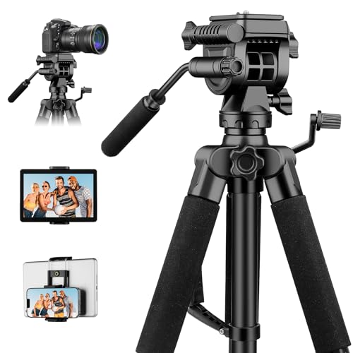 JOILCAN Kamera Stativ Ständer 190cm, Leichtes Dreibeinstativ mit Handy/Tablette Halterung für Smartphone, Aluminium Reisestativ Fotostativ mit Tragetasche für DSLR Canon Nikon Sony, Tragfähigkeit 12LB JOILCAN Kamera Stativ Ständer 190cm, Leichtes Dreibeinstativ mit Handy/Tablette Halterung für Smartphone, Aluminium Reisestativ Fotostativ mit Tragetasche für DSLR Canon Nikon Sony, Tragfähigkeit 12LB von JOILCAN