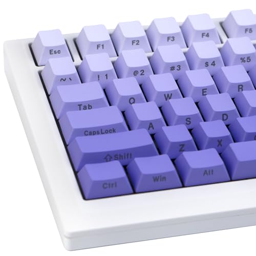 JOLINTAL 124 Tasten Gradient Purple Keycaps Set, PBT Cherry Profile Keycaps Custom, Dye-Sub Side Engraving Keycaps Cherry MX Switch Keycaps für mechanische Gaming Tastatur von JOLINTAL