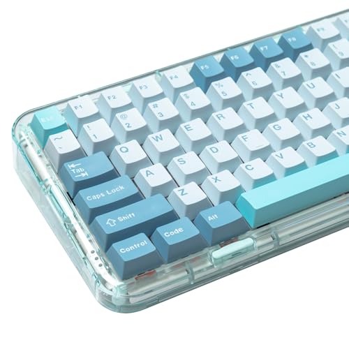 JOLINTAL 173 Tasten PBT Tastenkappen-Set, Blaue Double Shot Cherry Profile Keycaps, 60 Prozent für Cherry MX Switch Mechanische Tastaturen (Eine Trillerpfeife) von JOLINTAL