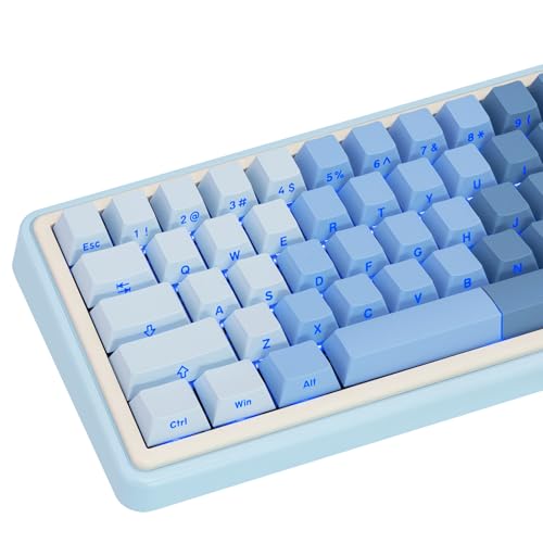 JOLINTAL Tastenkappen mit 121 Tasten, blau mit Farbverlauf, PBT-Tastenkappen, Cherry Profile Shine Through Keycap, Double Shot Backlit Keycap Set für Gateron Cherry MX Switches mechanische Tastaturen von JOLINTAL