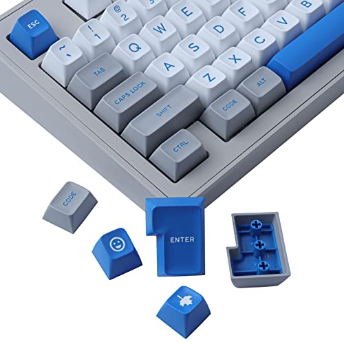 JOMKIZ Double Shot Tastenkappen, 173 Tasten SA-Profil-Tastenkappen-Set mit 2,75u, 3u, 6,25u und 7u Leertaste für Cherry Mx Switches ISO ANSI Layout mechanische Tastatur JOMKIZ Double Shot Tastenkappen, 173 Tasten SA-Profil-Tastenkappen-Set mit 2,75u, 3u, 6,25u und 7u Leertaste für Cherry Mx Switches ISO ANSI Layout mechanische Tastatur von JOMKIZ