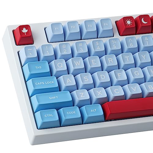 JOMKIZ Double Shot Tastenkappen 173 Tasten SA-Profil Flair Tastenkappen-Set mit 2,75u, 3u, 6,25u und 7u Leertaste für Cherry Mx Switches ISO-ANSI-Layout Mechanische Tastatur von JOMKIZ