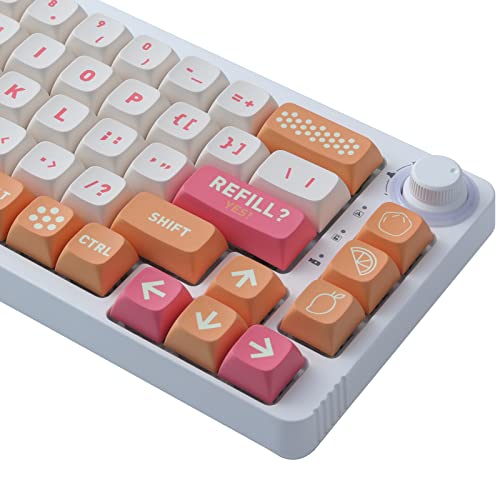 JOMKIZ PBT-Tastenkappen für mechanische Tastatur, 132 Tasten, XDA-Profil-Farbstoff-Sublimation, ASIN-Layout, Tastenkappen-Set für Cherry Gateron MX Schalter von JOMKIZ