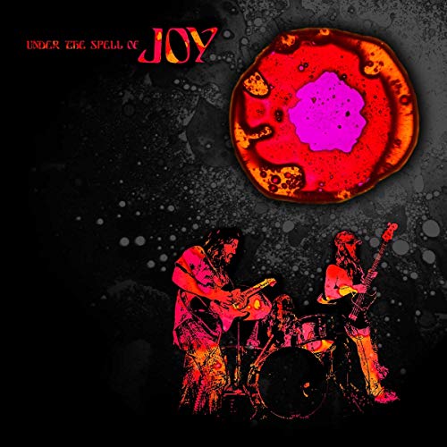 Under the Spell of Joy [Vinyl LP] von JOY