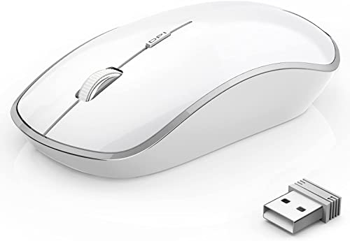 J JOYACCESS 2,4 G kabellose Maus, leise kabellose Maus für Laptop, schlanke tragbare USB-Computer-Maus, 2400 DPI, kabellose Mäuse für Notebook, Mac, PC, Weiß und Silber von JOYACCESS