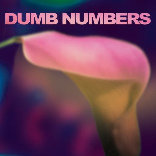 Dumb Numbers [Vinyl LP] von JOYFUL NOISE REC