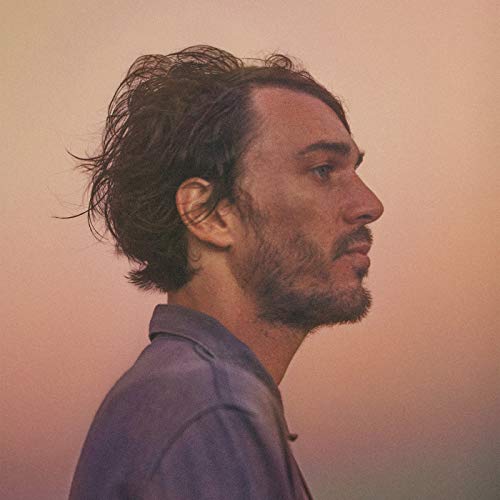 Lemon Cotton Candy Sunset [Vinyl LP] von JOYFUL NOISE REC