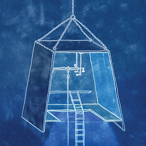 The Salt Doll Went to Measure the Depth of the Sea [Vinyl LP] von JOYFUL NOISE REC