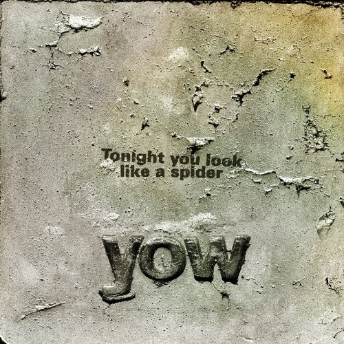Tonight You Look Like a Spider [Vinyl LP] von JOYFUL NOISE REC