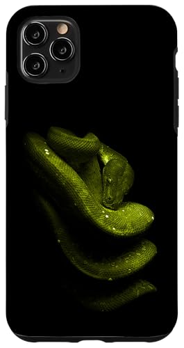Green Tree Python Schlangenbesitzer Streetwear Reptile Hülle für iPhone 11 Pro Max Green Tree Python Schlangenbesitzer Streetwear Reptile Hülle für iPhone 11 Pro Max von JRRTS Green Tree Python Designs