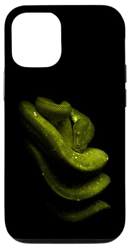 Green Tree Python Schlangenbesitzer Streetwear Reptile Hülle für iPhone 12/12 Pro Green Tree Python Schlangenbesitzer Streetwear Reptile Hülle für iPhone 12/12 Pro von JRRTS Green Tree Python Designs