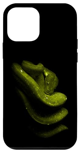 Green Tree Python Schlangenbesitzer Streetwear Reptile Hülle für iPhone 12 mini von JRRTS Green Tree Python Designs