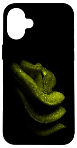 Green Tree Python Schlangenbesitzer Streetwear Reptile Hülle für iPhone 16 Plus Green Tree Python Schlangenbesitzer Streetwear Reptile Hülle für iPhone 16 Plus von JRRTS Green Tree Python Designs