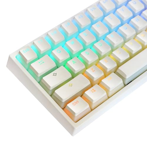 PBT Keycaps OEM Pudding 117-Tastenkappe, Doppelschuss, durchscheinendes Tastenkappen-Set für Game-Spieler, Tastatur, mehrfarbiges Layout von JSZDFSV