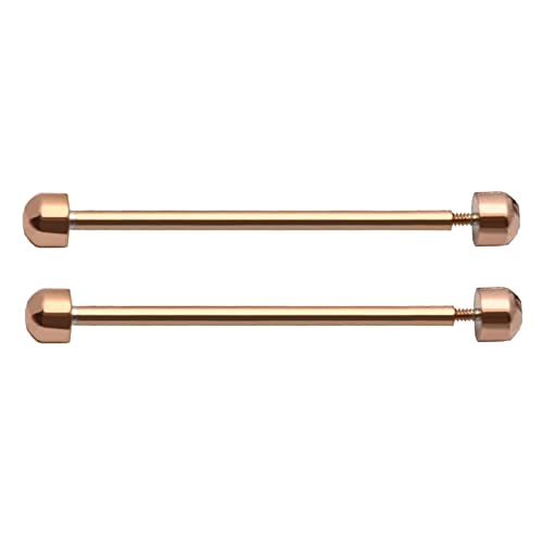 JTQYFI 2 PCs/Pack Watch Gurtschraubenstifte Anschlussstange Watch Lug Pins Band Verbindungsstange Reparaturwerkzeug 16mm 18mm 20 Mm 22 Mm JTQYFI 2 PCs/Pack Watch Gurtschraubenstifte Anschlussstange Watch Lug Pins Band Verbindungsstange Reparaturwerkzeug 16mm 18mm 20 Mm 22 Mm von JTQYFI