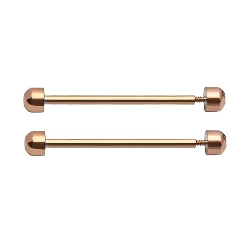 JTQYFI 2 PCs/Pack Watch Gurtschraubenstifte Anschlussstange Watch Lug Pins Band Verbindungsstange Reparaturwerkzeug 16mm 18mm 20 Mm 22 Mm von JTQYFI