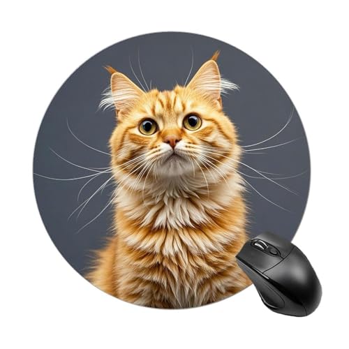 Rundes Mauspad, orangefarbener Katzen-Druck, Computer-Mauspad, Gaming-Mauspad, rutschfestes Mauspad, Heimdekoration, Büro-Schreibtischzubehör Rundes Mauspad, orangefarbener Katzen-Druck, Computer-Mauspad, Gaming-Mauspad, rutschfestes Mauspad, Heimdekoration, Büro-Schreibtischzubehör von JTREWBV