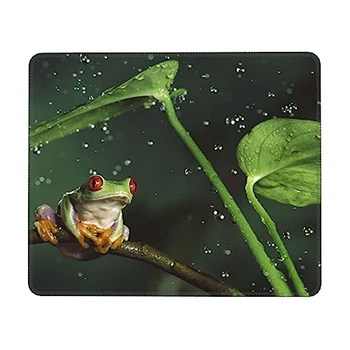 Mauspad Frosch und Regen mit genähtem Rand, rutschfeste Gummiunterseite, hochwertig strukturiertes und wasserdichtes Mauspad für Computer, Laptop, Büro & Zuhause, 30 x 25 cm, 3 mm Mauspad Frosch und Regen mit genähtem Rand, rutschfeste Gummiunterseite, hochwertig strukturiertes und wasserdichtes Mauspad für Computer, Laptop, Büro & Zuhause, 30 x 25 cm, 3 mm von JUEXDEME