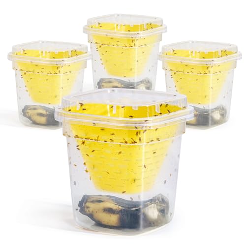 4X Fruchtfliegenfalle Fruchtfliegen-Falle, Fruchtfliegen-Lebendfalle, Hochwirksame Ökologische Fruchtfliegenfalle für Küche und Innenraum Obstfliegenfalle 4X Fruchtfliegenfalle Fruchtfliegen-Falle, Fruchtfliegen-Lebendfalle, Hochwirksame Ökologische Fruchtfliegenfalle für Küche und Innenraum Obstfliegenfalle von JULWHISPER
