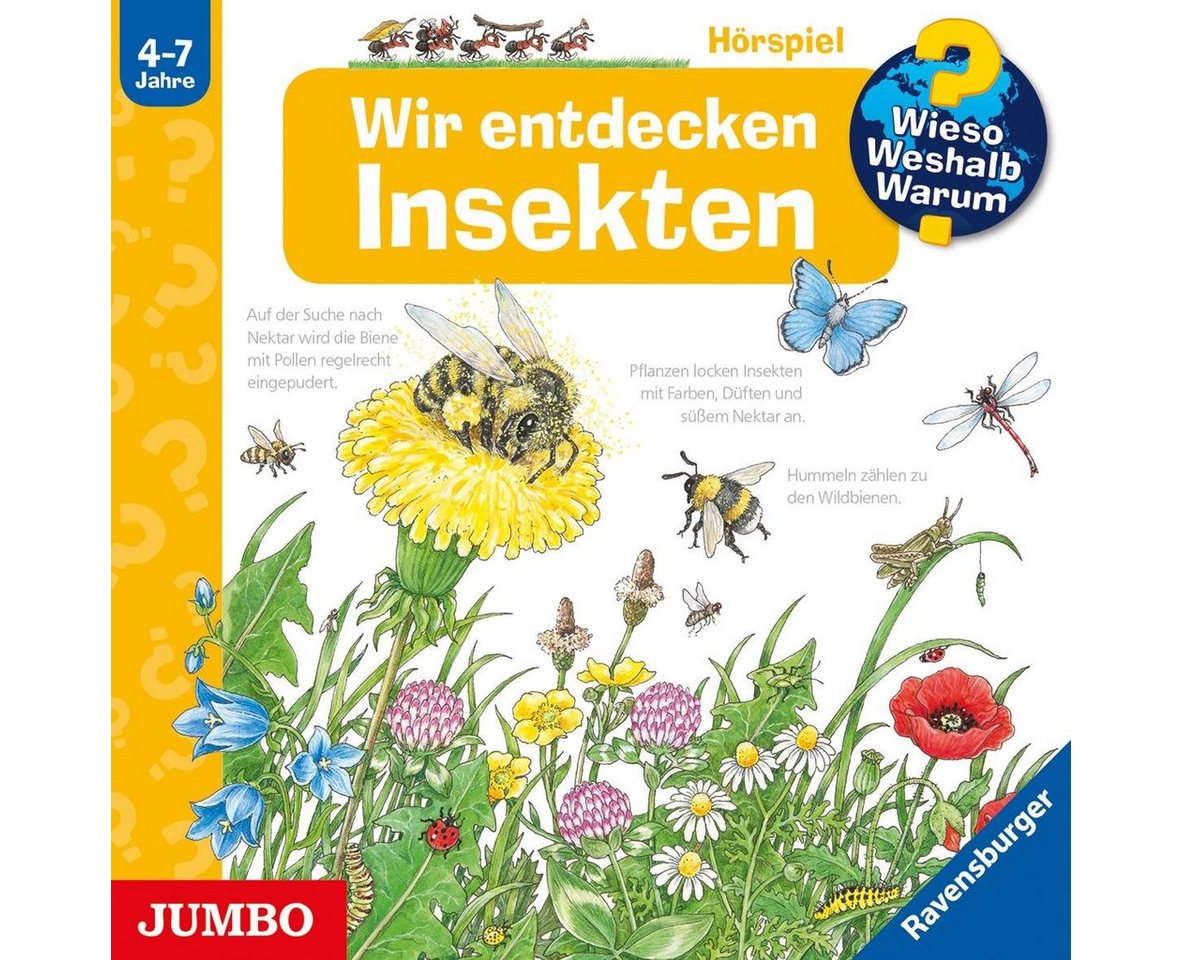 JUMBO Verlag Hörspiel-CD Wir entdecken Insekten, Audio-CD von JUMBO Verlag