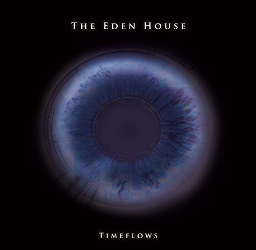 Timeflows (180g) [Vinyl LP] von JUNGLE