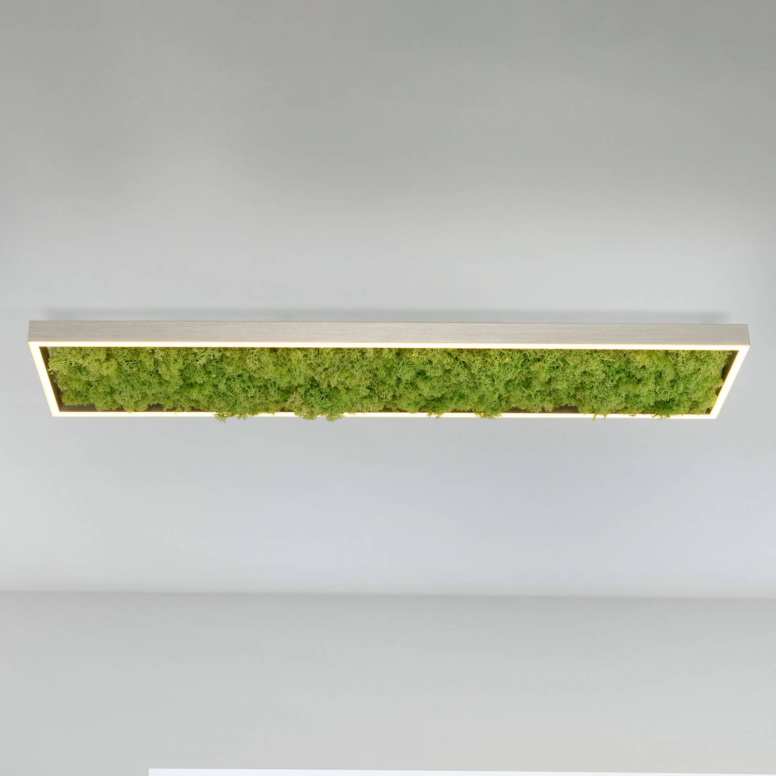 LED-Deckenleuchte Green Knut mit echtem Moos LED-Deckenleuchte Green Knut mit echtem Moos von JUST LIGHT.