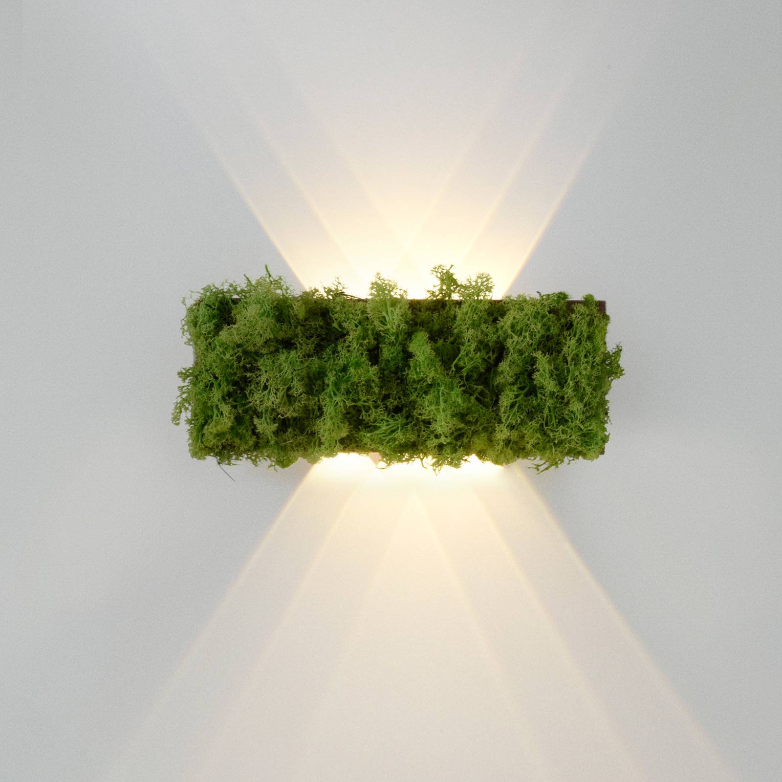 LED-Wandleuchte Green Carlo, Up/Down, echtes Moos von JUST LIGHT.