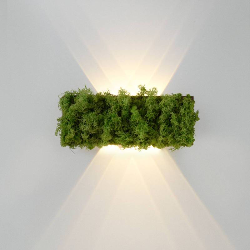 LED-Wandleuchte Green Carlo, Up/Down, echtes Moos von JUST LIGHT.