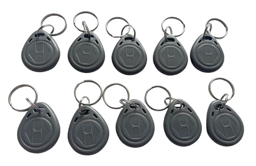 100 Stück 125 kHz beschreibbare RFID-Nahbereichsschlüssel T5577 Fob Label wiederbeschreibbarer RFID-Schlüsselanhänger, NFC-Token-Etikett zum Kopieren/Klonen von Karten (Grau) von JWFKWNH