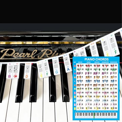 Bunte abnehmbare Piano Keyboard Note Etiketten mit Klavier Akkord Chart Poster, Silikon Piano Noten Aufkleber Guide für Anfänger, wiederverwendbar 88 Key Full Size Piano Bunte abnehmbare Piano Keyboard Note Etiketten mit Klavier Akkord Chart Poster, Silikon Piano Noten Aufkleber Guide für Anfänger, wiederverwendbar 88 Key Full Size Piano von JYCSTE