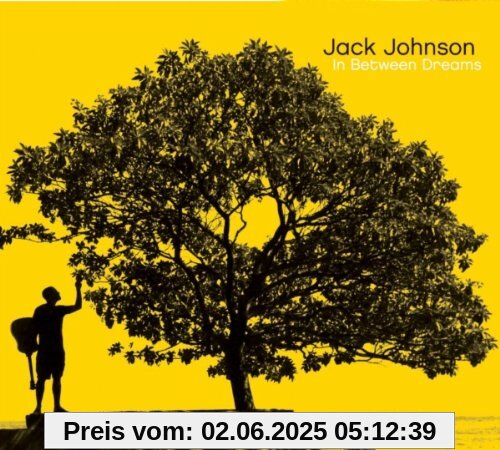 In Between Dreams In Between Dreams von Jack Johnson