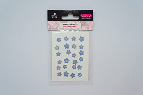 Jacques Herbin 41315T - Packung mit getrockneten Vergissmeinnichblättern ideal für Wachsprojekte und Scrapbooking, 1 Pack von Jacques Herbin